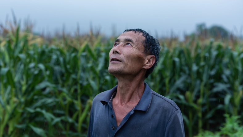 干旱38天后,河南驻马店农民等来了一场雨